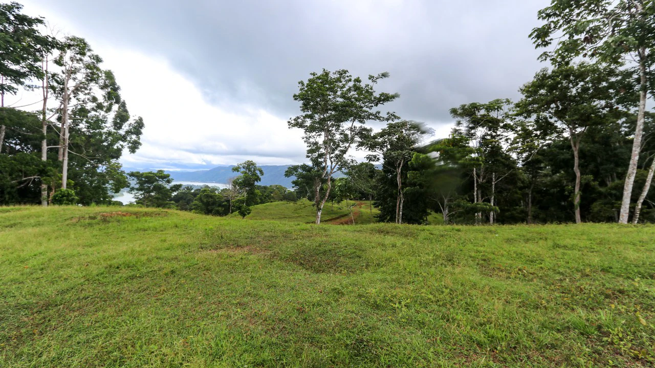 Unique Development Property Overlooking the Pristine Golfito Bay and Golfo Dulce - Gallery image 11