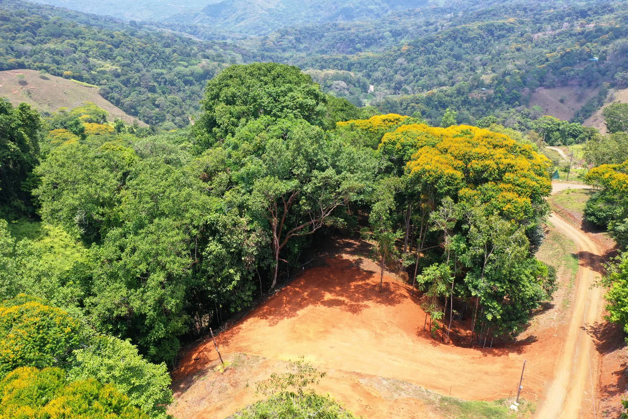 2.5 Acre Jungle and Valley View Home site in Dominical - Gallery image 11