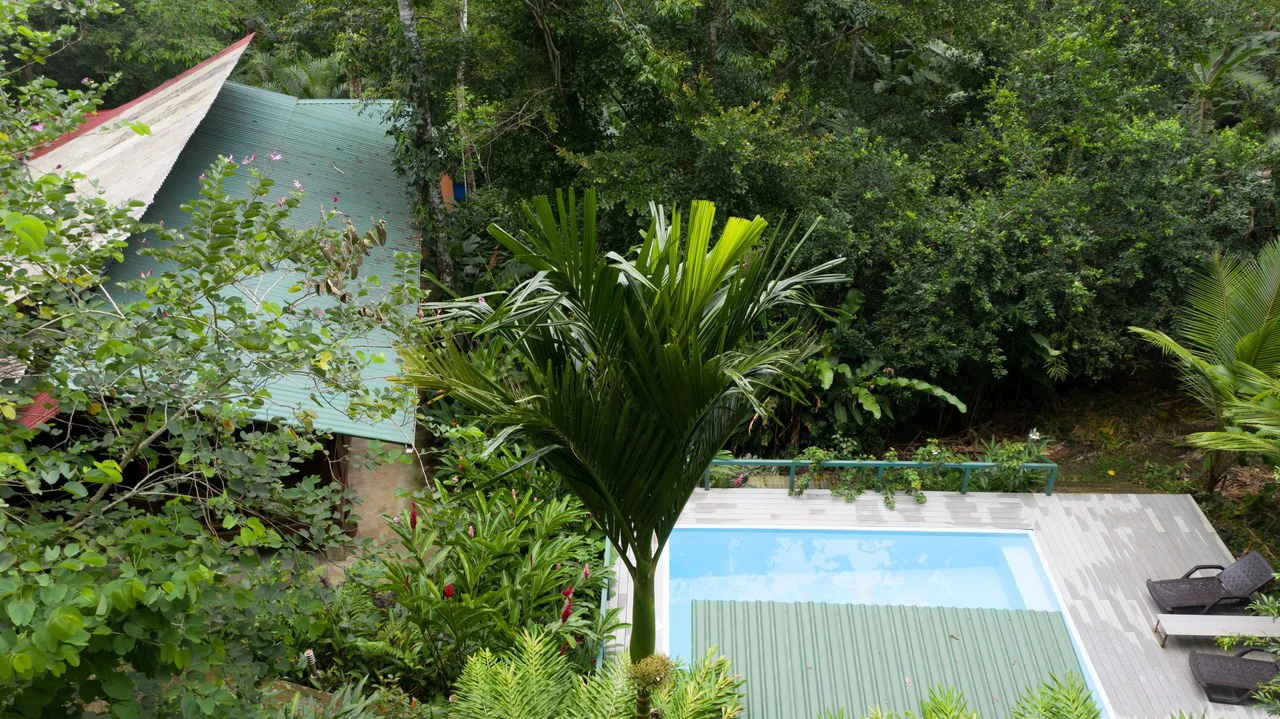 4 Bd/3 Ba - Two Caribbean Homes w/ Pool, on 5000m²: Dual Home Jungle Property in Punta Uva - Gallery image 28