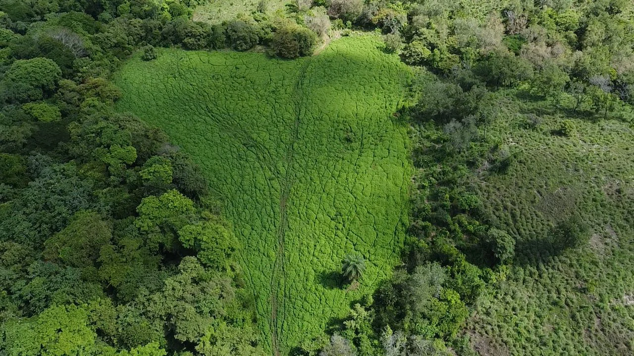 Riverfront, Mountain and Countryside Agricultural Land For Sale in Cañas Dulces