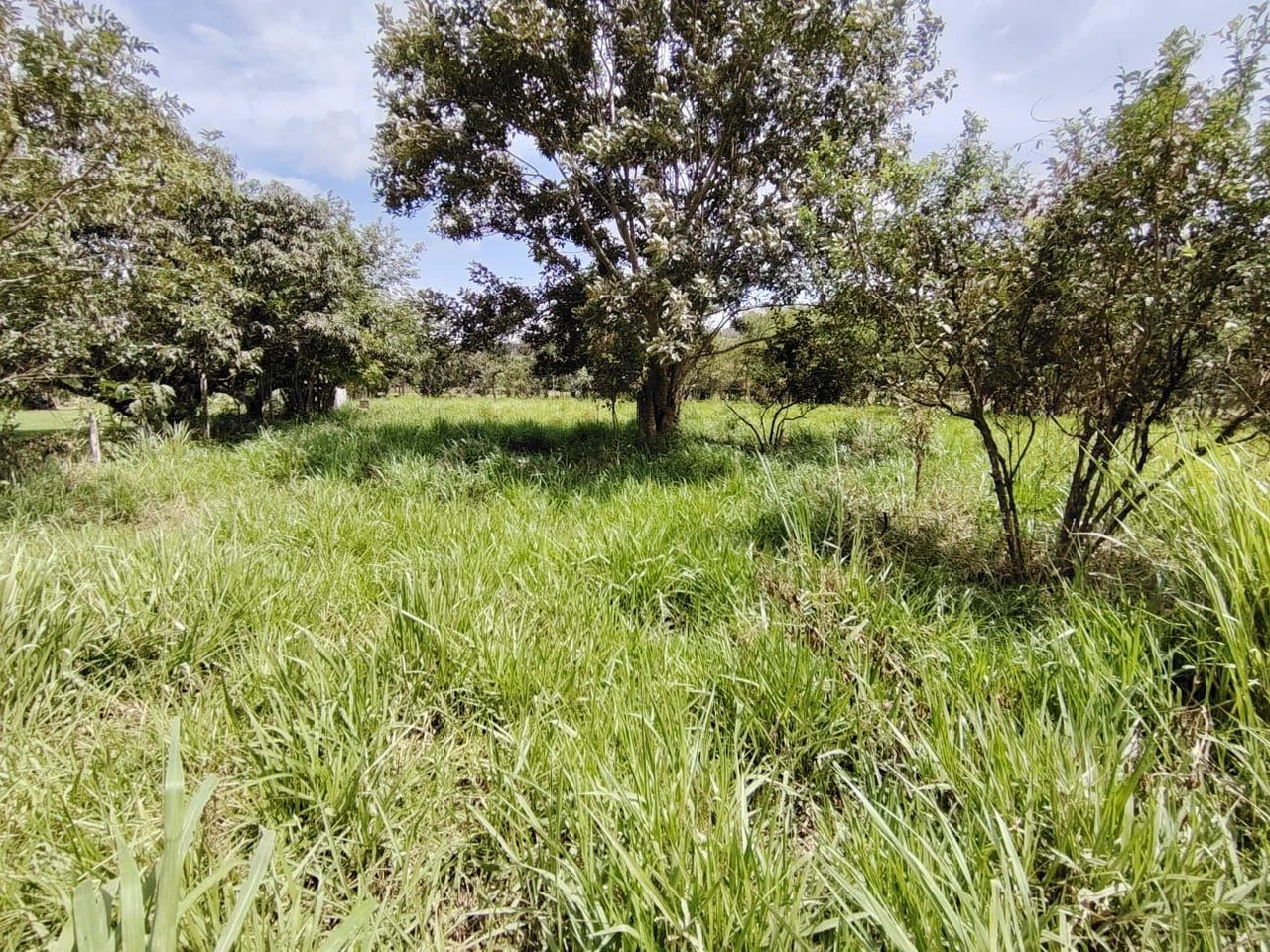 Se vende propiedad en el Rosario Pacuar, Pérez Zeledón.: Countryside Home Construction Site For Sale in Daniel Flores - Gallery image 6