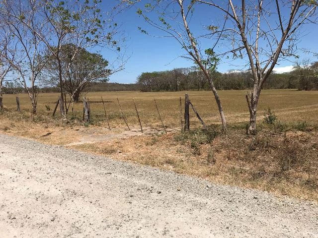 Huge terrain for sale in Guardia close to the International Airport of Liberia - Gallery image 7