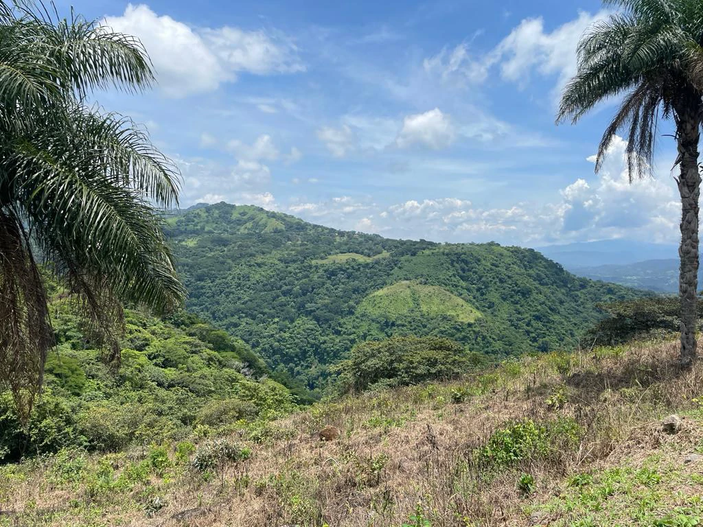 Lot for sale in Residential Vista Mar ocean and mountains view between San Mateo and Orotina Alajuela Costa Rica - Gallery image 4