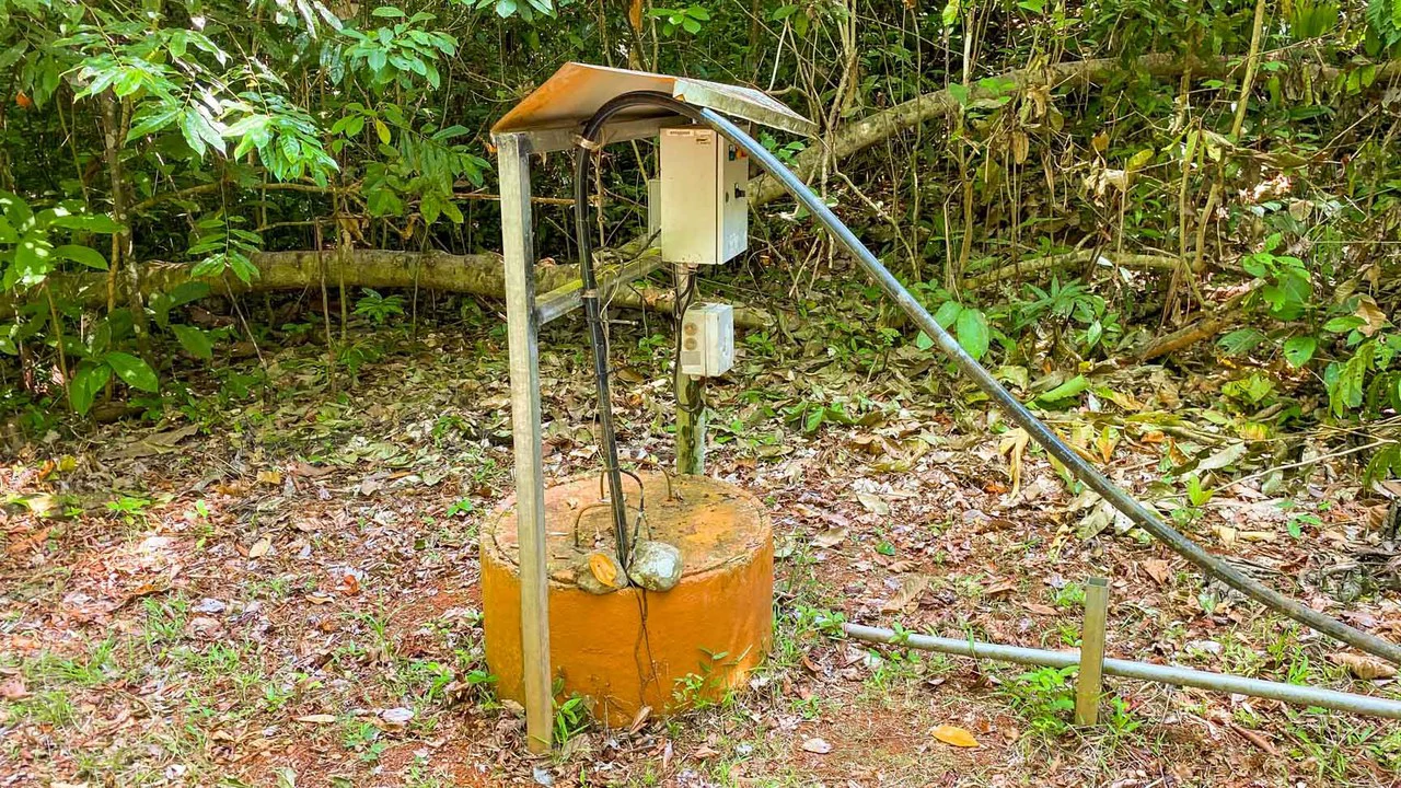 32 Acre Self Sustainable Farm with House Close Ojochal - Gallery image 39