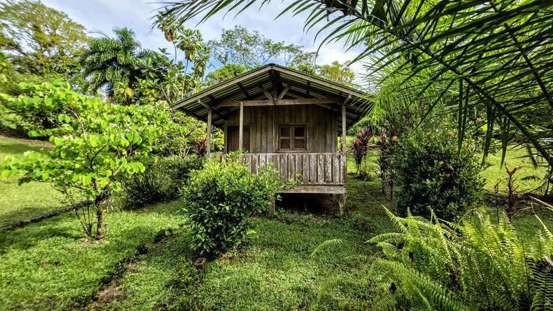 Waterfall Estate, Dos Bocas, Dominical Featuring Twin Waterfalls, Springs, Creeks & Rivers - Gallery image 7