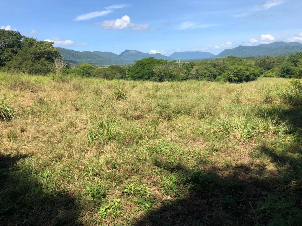 Huge dream Cattle farm for sale with 2 houses close to the Gulf of Nicoya, Guanacaste, Costa Rica - Gallery image 33
