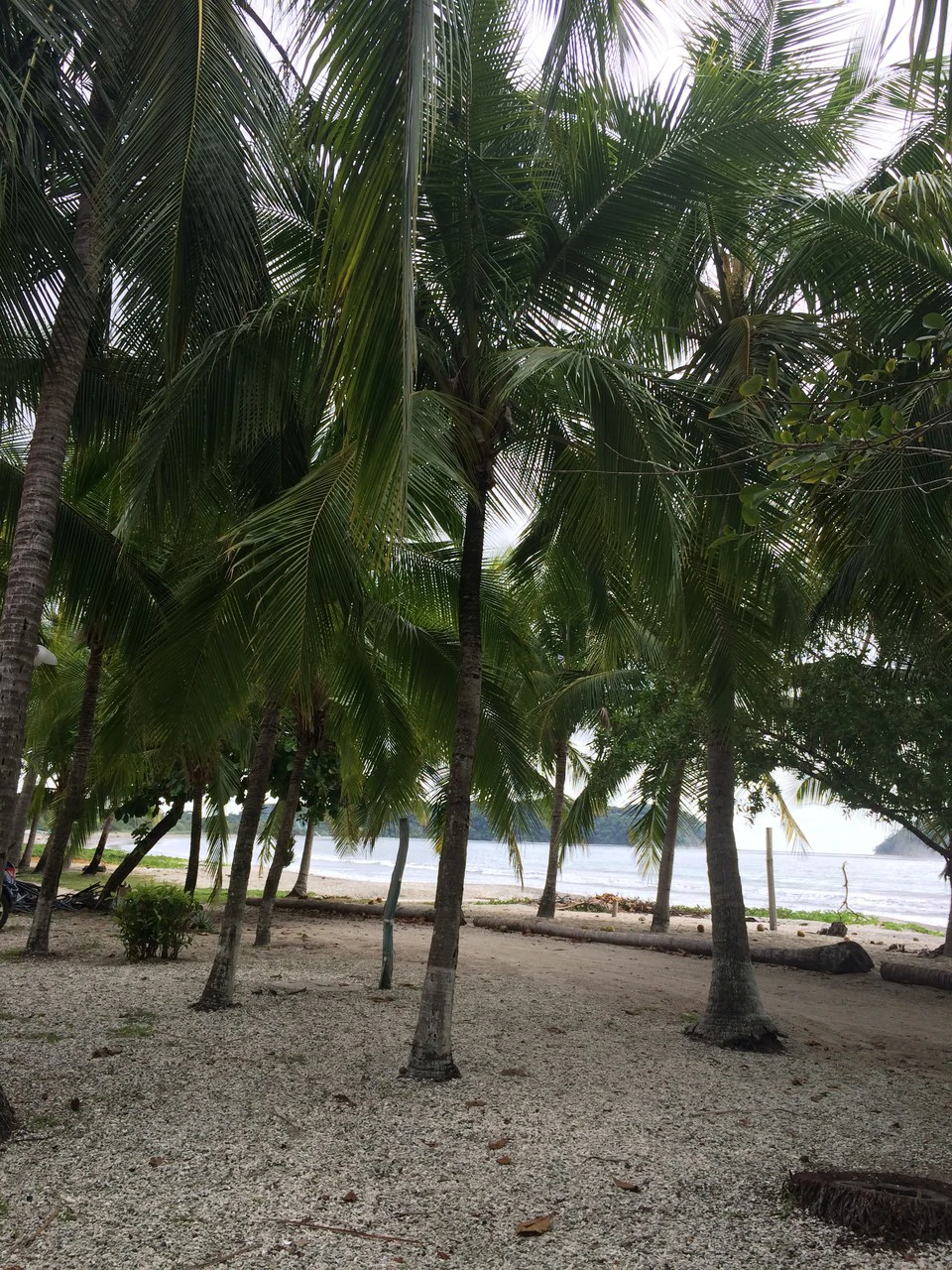 Beachfront Hotel for Sale in Playa Sámara - Gallery image 14