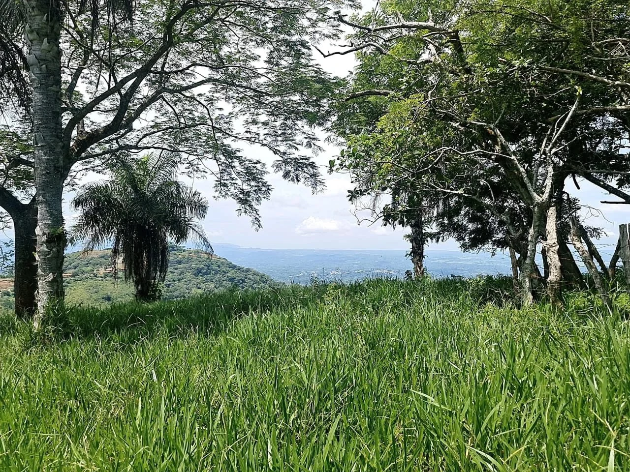 Near the Coast and Mountain Home Construction Site For Sale in Orotina y Caldera - Gallery image 14