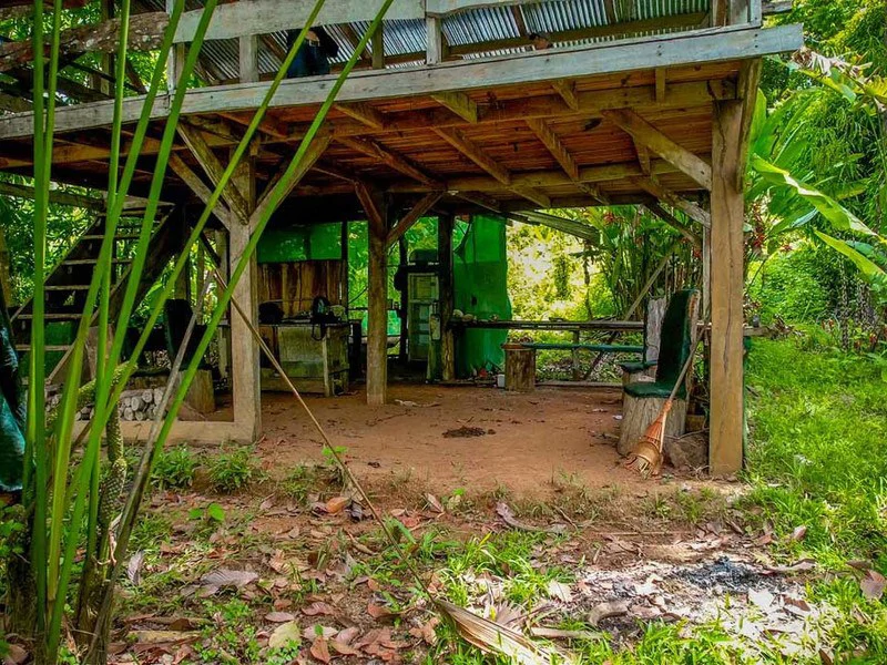 Golfo Dulce Waterfall Jungle Farm | A Nature Lover's Dream Come True - Gallery image 2