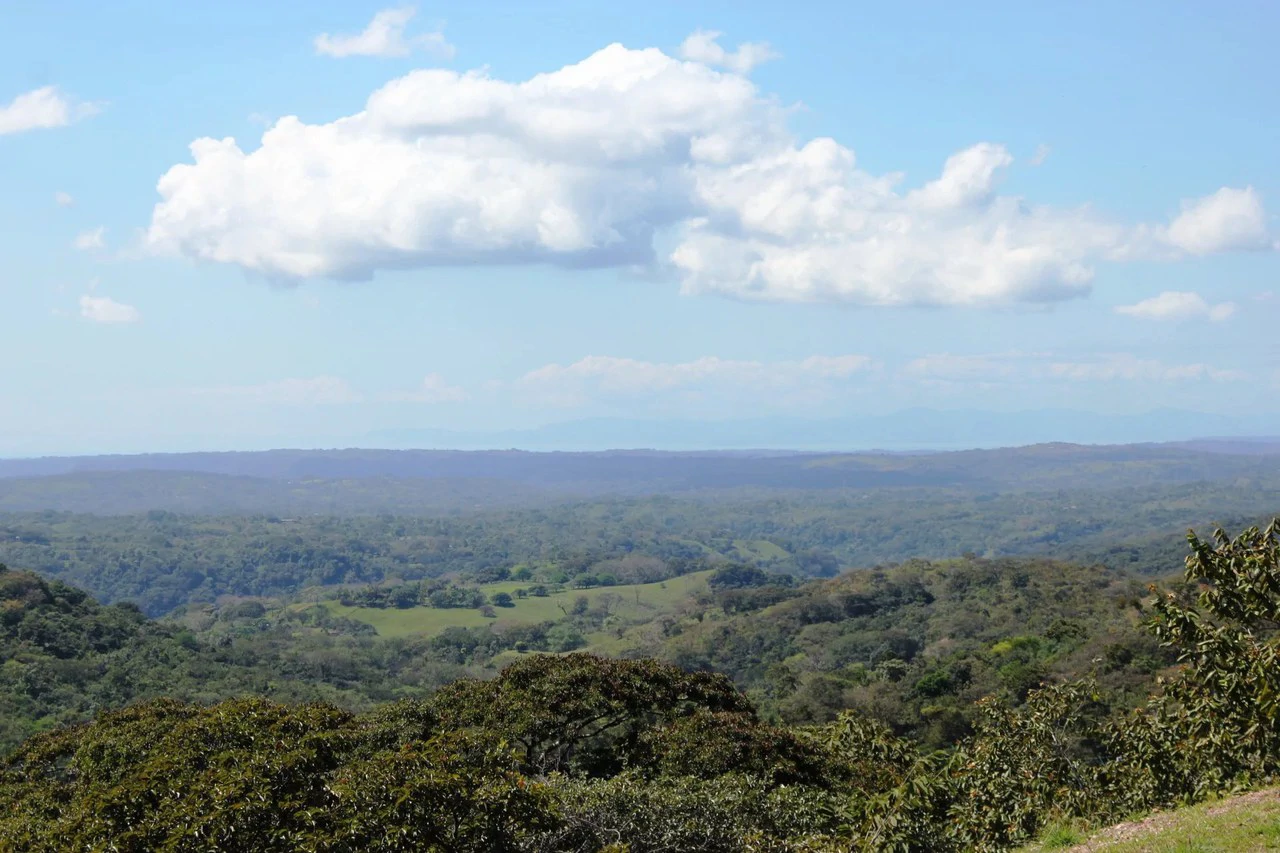 Agricultural Land For Sale in Turrubares - Gallery image 2