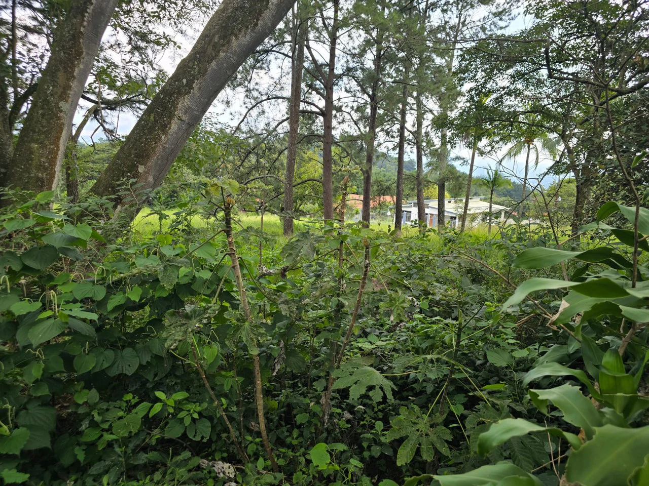 Land for sale in Residencial Montisel - Gallery image 8