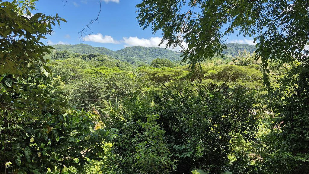 Lote Vista Montaña: Elevated Lot with Mountain and Jungle Views in Buena Vista, Just Minutes from Samara Beach - Gallery image 2