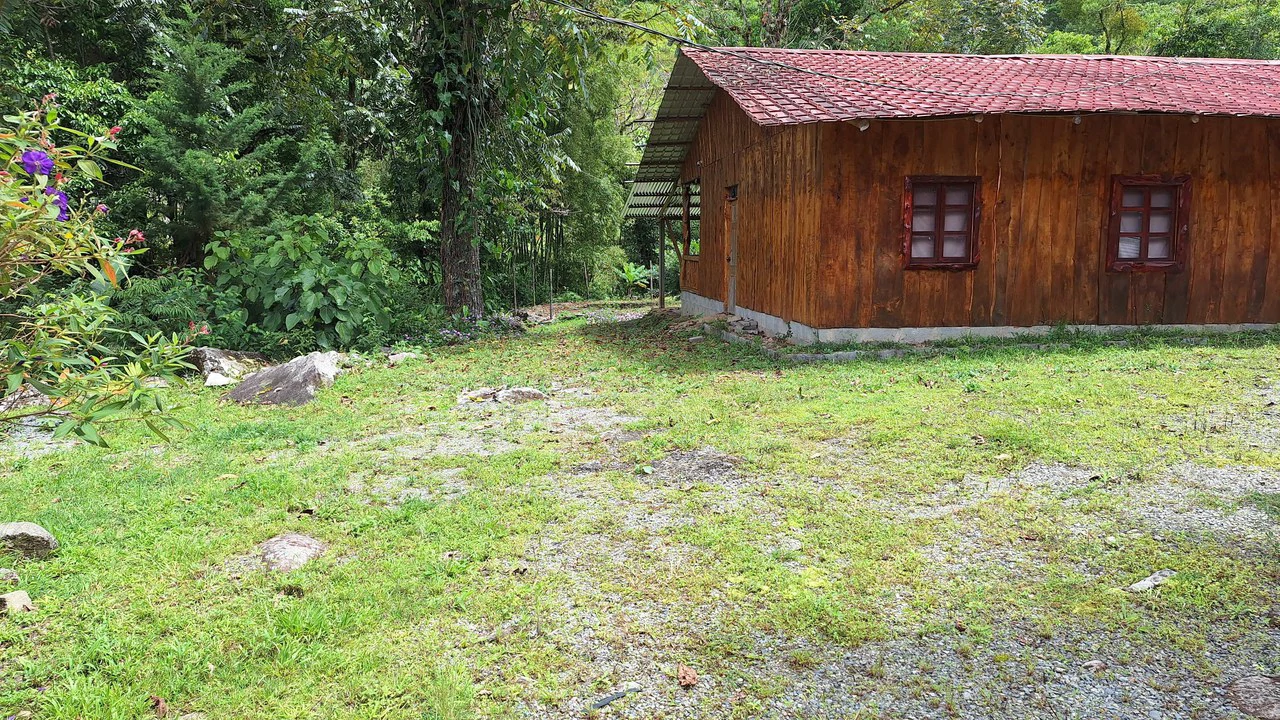 Propiedad en cedral: Mountain Home Construction Site For Sale in Cajón - Gallery image 17