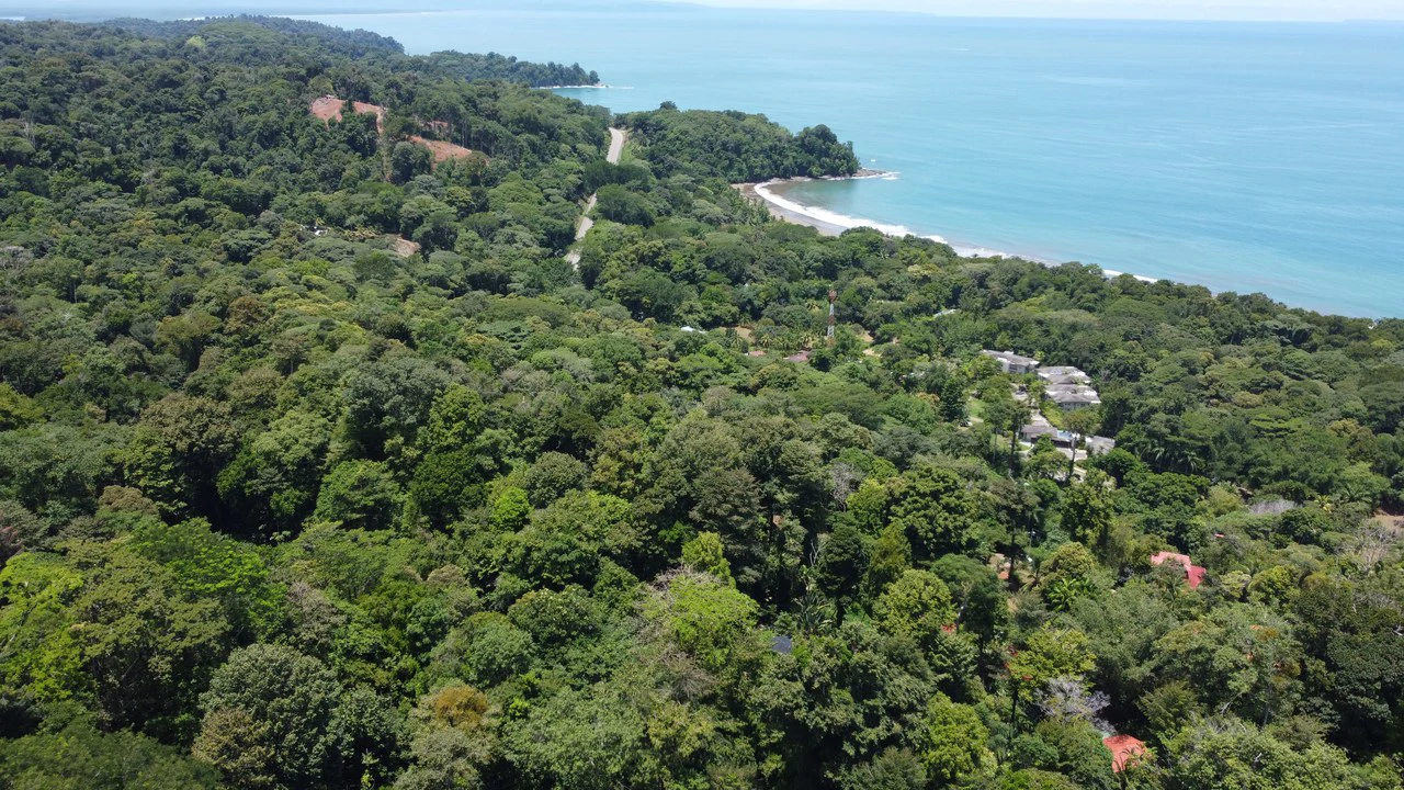 1.6 Acres Land Parcel in Ballena, Jungle Views.: Mountain Home Construction Site For Sale in Bahía Ballena - Gallery image 3