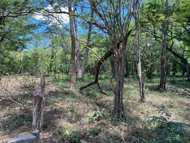 5.67 Hectares in Puerto Viejo: Prime Development Parcel Just 2 Mins from the Beach - Gallery image 12