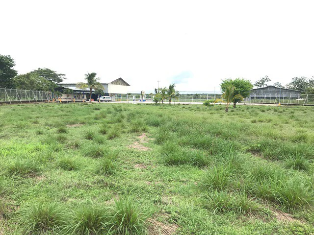 Commercial Property: Large Warehouse with Public Services near Guanacaste International Airport - Gallery image 25