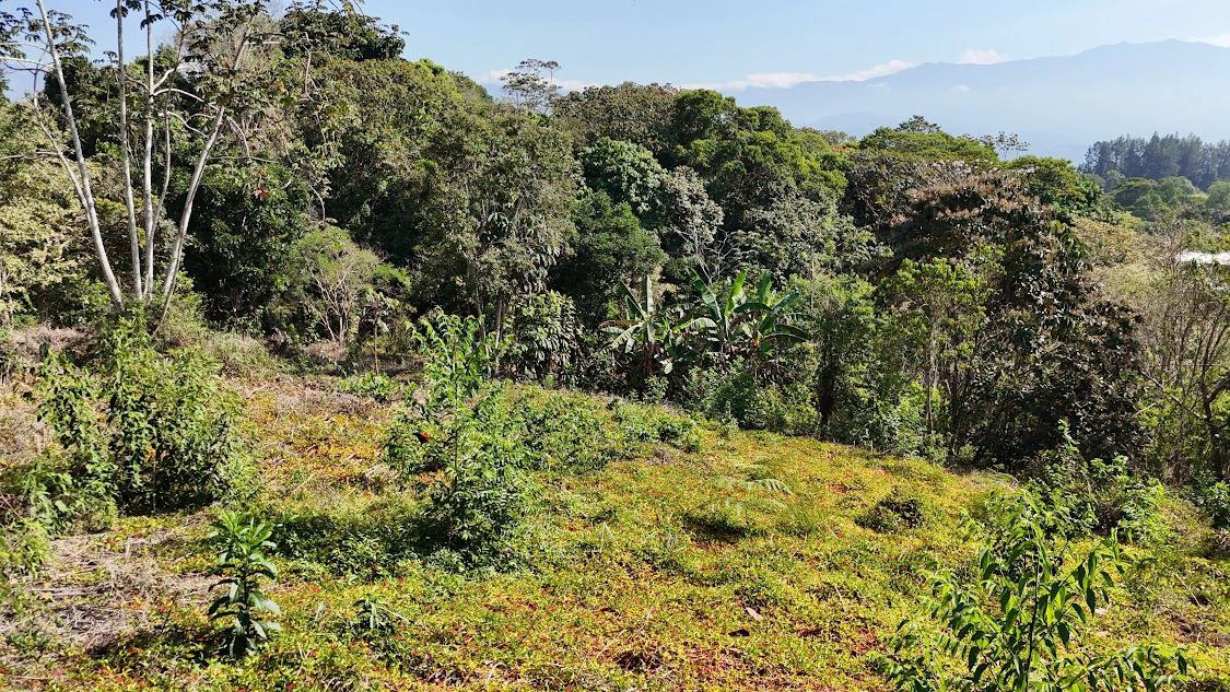 Home Construction Site For Sale in La Ceniza - Gallery image 11