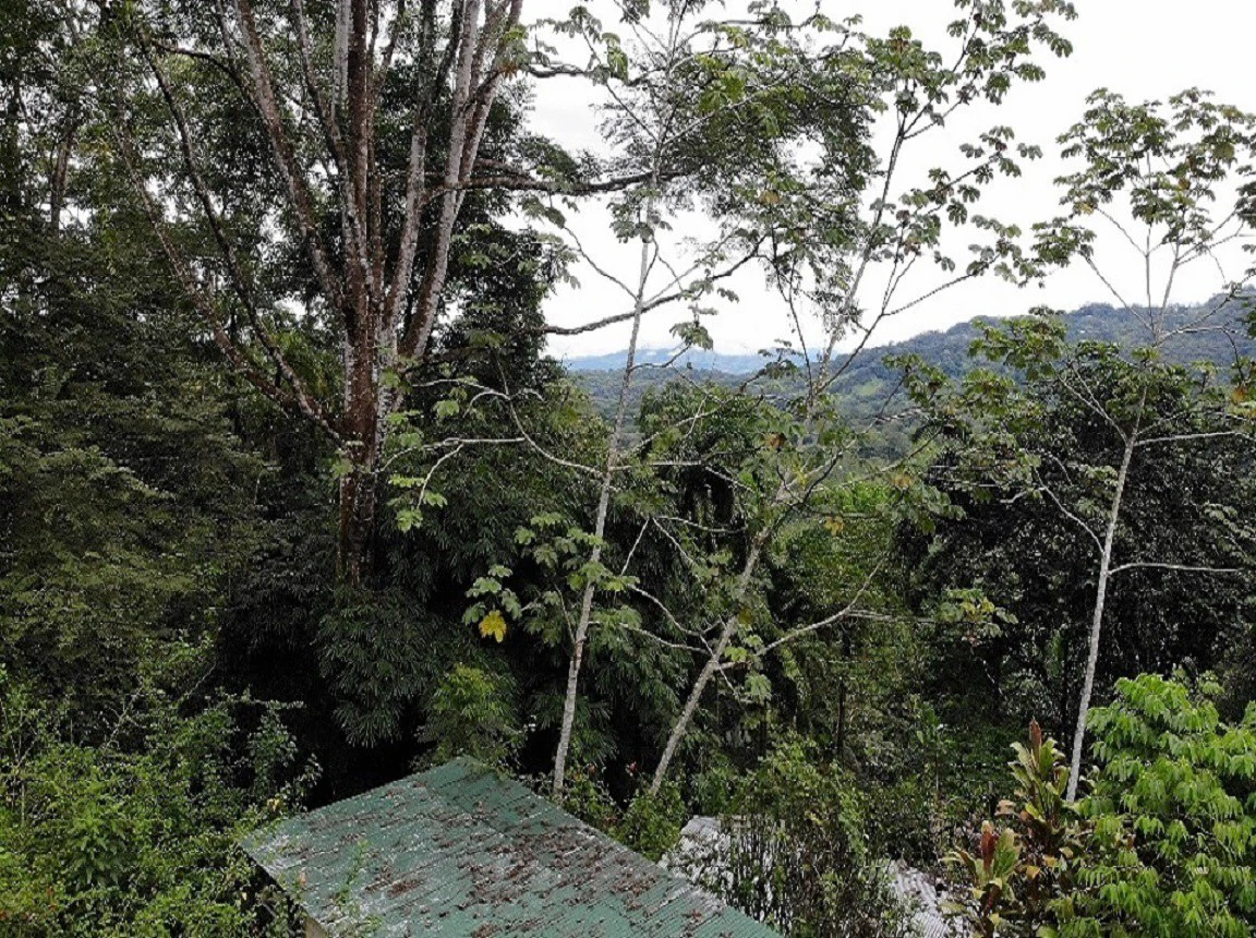 Costa Rican Retreat with Spectacular Waterfall Views - Gallery image 14