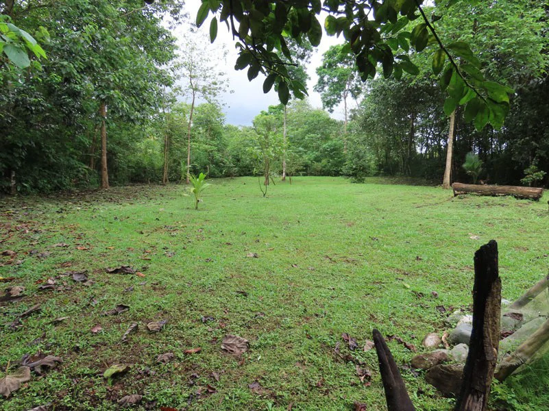 Land For Sale in Dos Brazos, Puerto Jimenez, Ideal For Home Surrounded by Nature - Gallery image 15