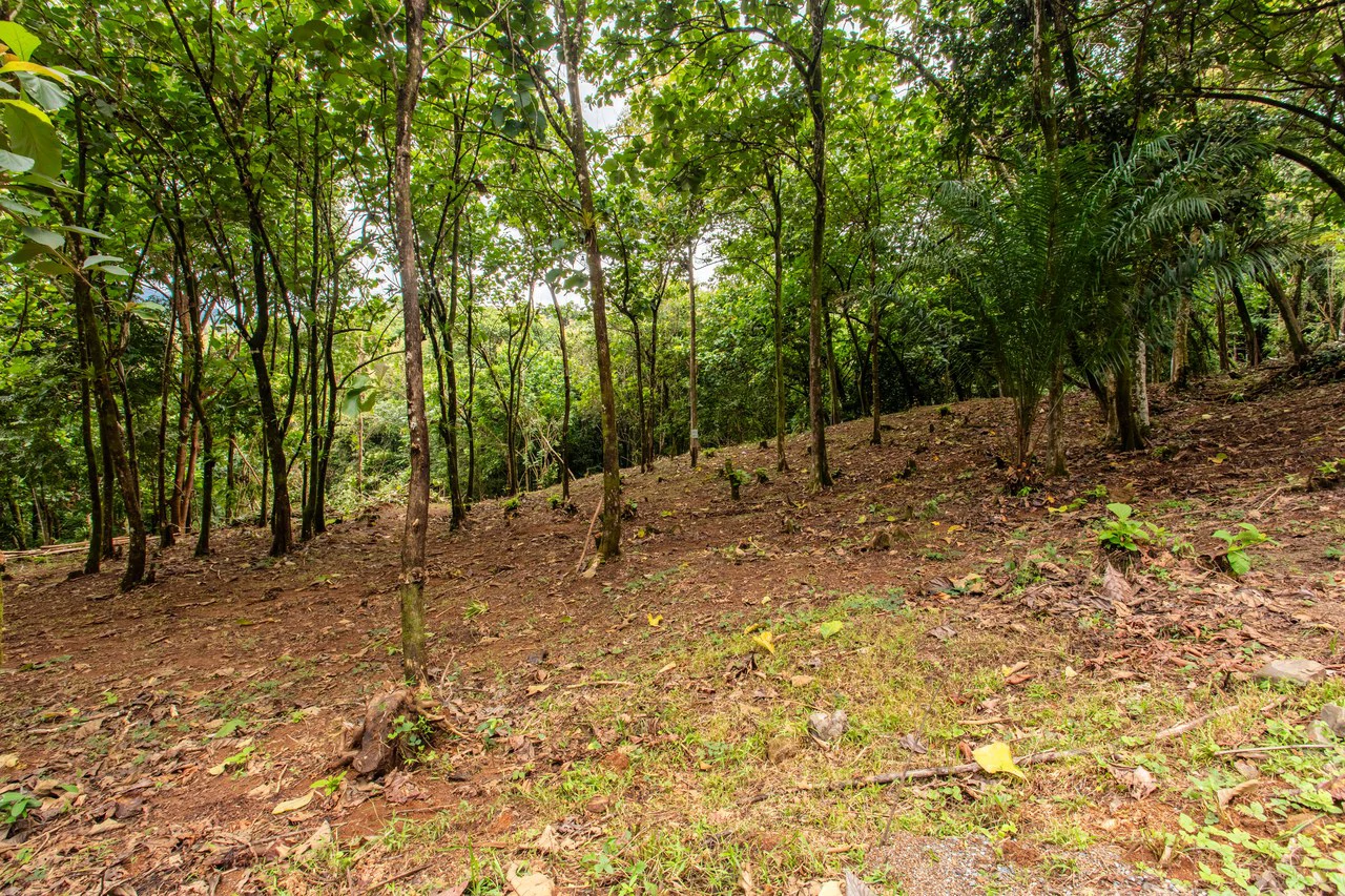 2.4 Acre Property In The Mountains Above Dominical with Waterfall Views - Gallery image 12