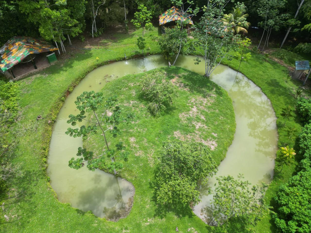 50 Acre Waterfall and River Paradise Above Dominical - Gallery image 33