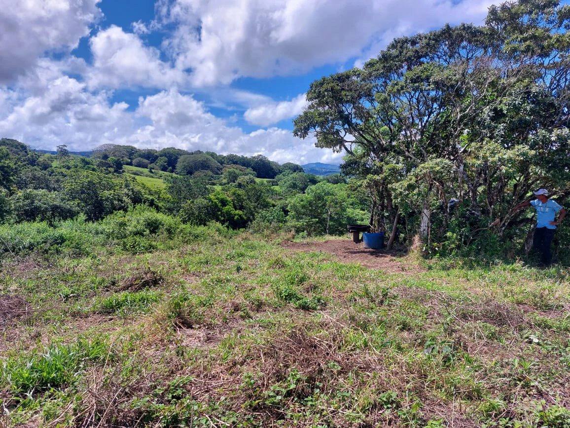 FINCA LA TEJONA - Gallery image 10
