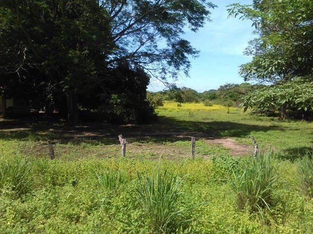 Discovery Park. Property in great location