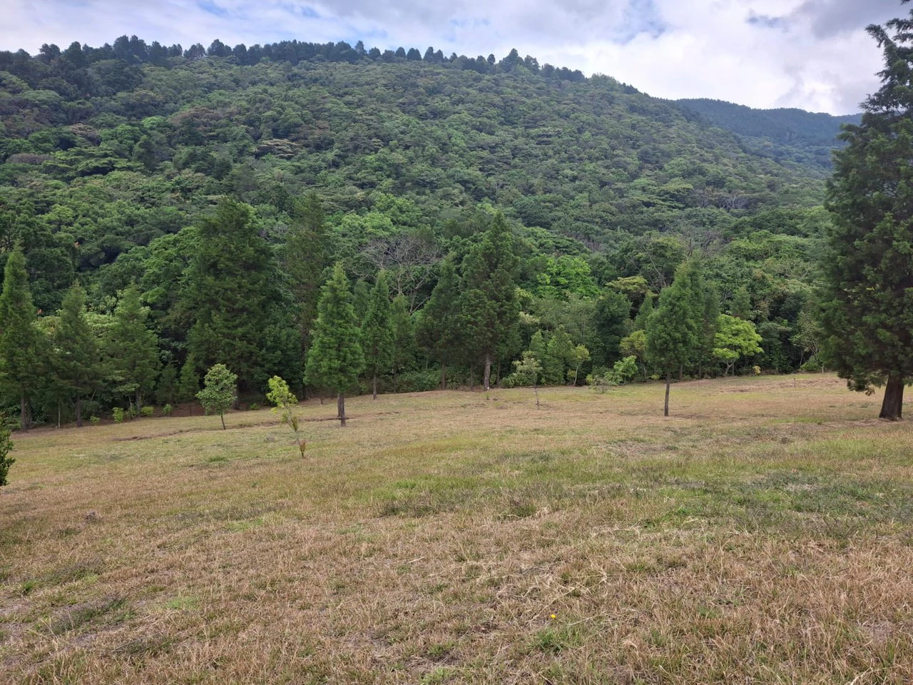 Mountaintop Canvas!: 31,000m2 - Entrepreneur's Dream Property! - Gallery image 4