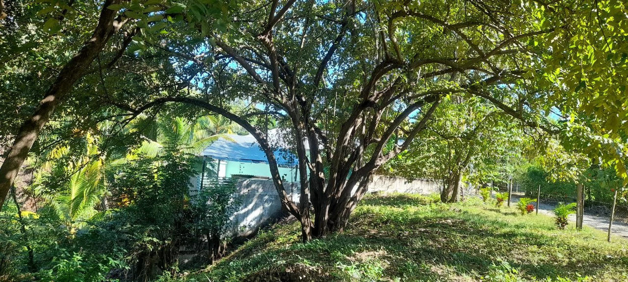 Playa Carrillo Lot: 200 meters to Playa Carrillo - Gallery image 11