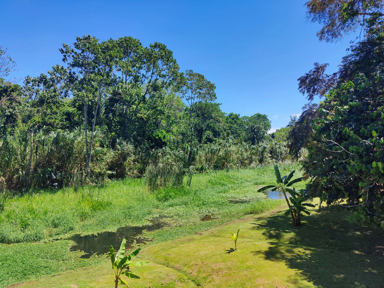 Penshurt Riverside Oasis: Stunning Riverside Property with 2-Bedroom Home and Additional Apartment - Gallery image 30