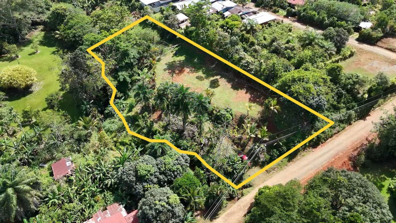 FOR SALE IN LAS MERCEDES DE CAJÓN, PEREZ ZELEDON: Lot for Sale in Las Mercedes de Cajon, Perez Zeledon 2,466 m²