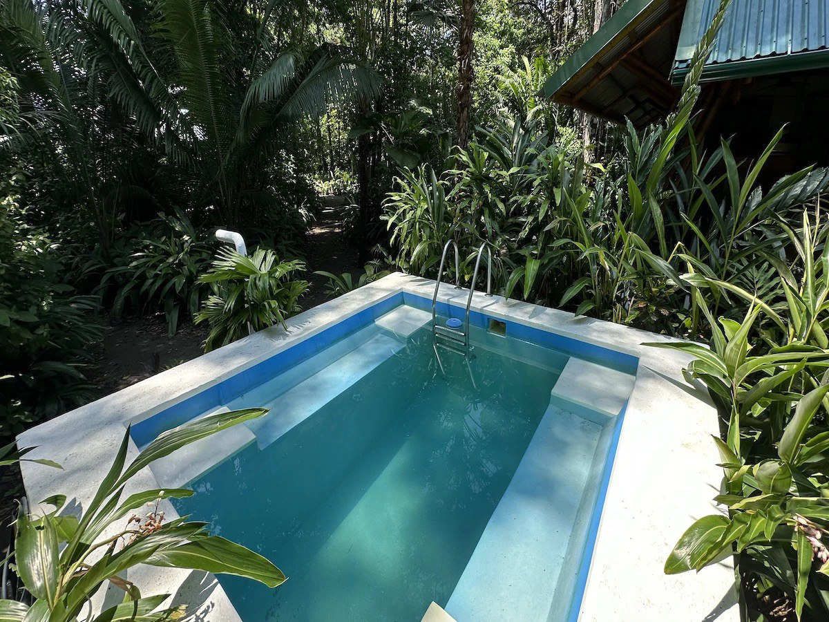 Jungle Beach Exotic Retreat - Gallery image 8