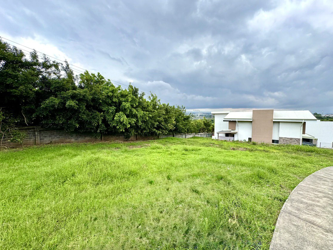 388 m² in a Prime Location - Gallery image 4