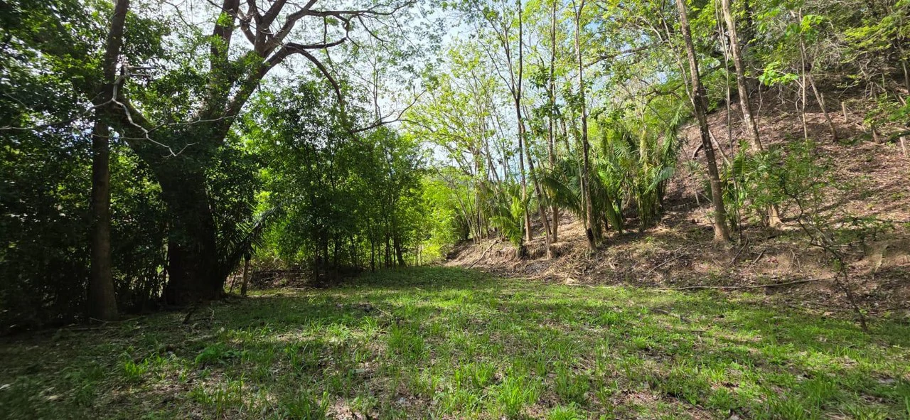 Lote Ceiba: Beautiful Peaceful Lot Near Barrigona Beach - photo 3