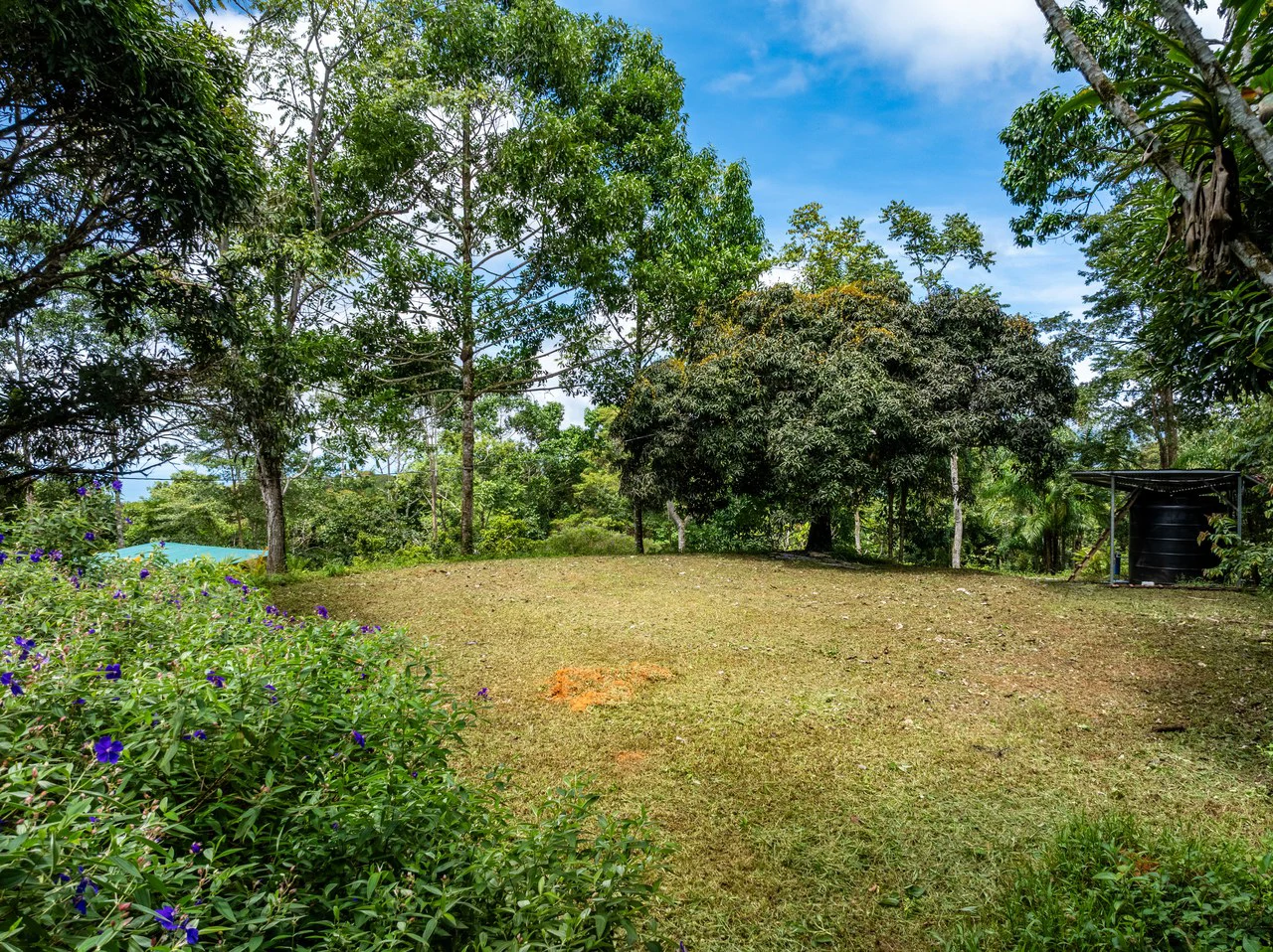 Home with Additional Building Areas and Creek on 3.5 Acres - Gallery image 50