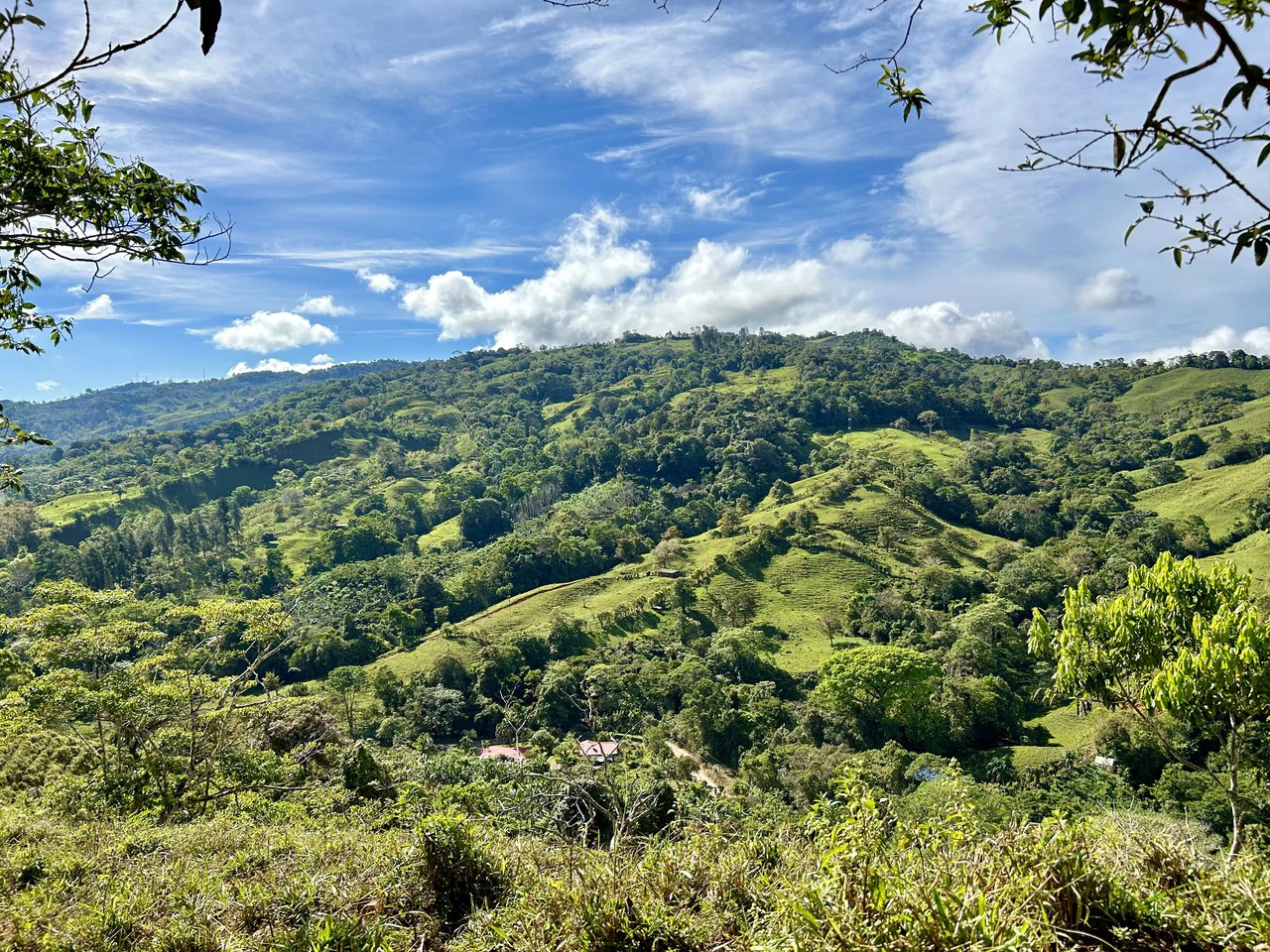 Finca Ceibo Memo: Mountain Home Construction Site For Sale in San Isidro del General - Gallery image 26