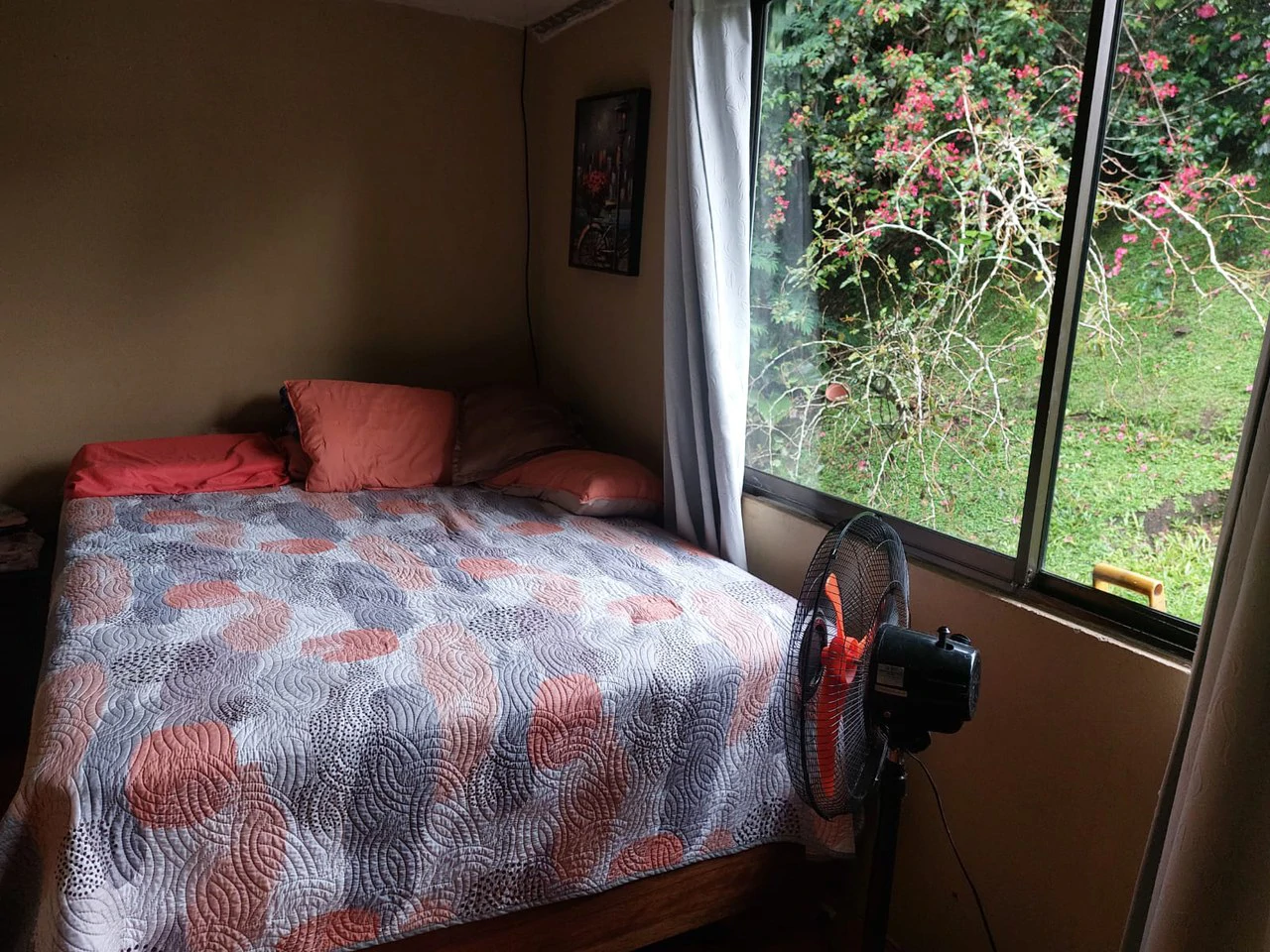 CASA LEO  - Home in Town - Gallery image 14