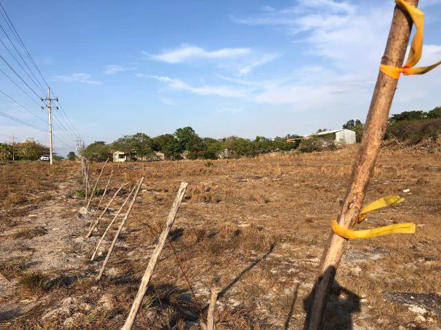 Commercial Property for sale, Located directly in front of the national Route #21 and Diagonal from the new project NYA - Gallery image 14