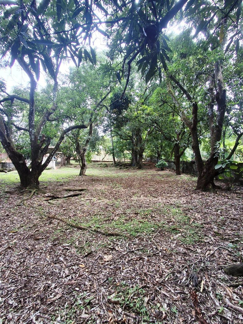 Flat Building Lot: 500 m2 Residential Lot in Atenas - photo 3