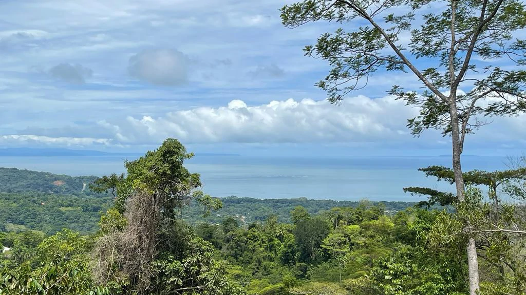 Eduardo Lee 17 Acres: Mountain Agricultural Land For Sale in Bejuco