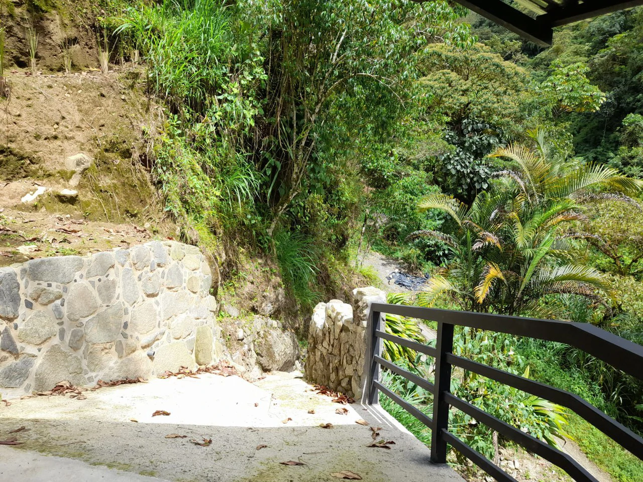 Mountain Retreat with River Views in San Gerardo de Rivas - Gallery image 19
