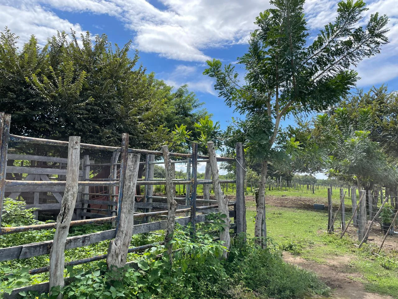 Airport Liberia Top commercial location huge property for sale - Gallery image 9