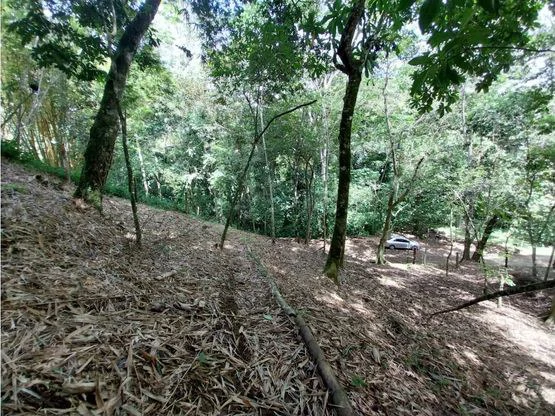 Home Construction Site For Sale in Jacó - Gallery image 10