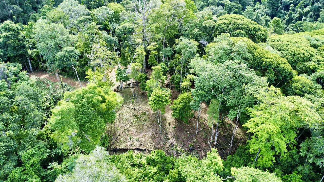 Marvelous Ocean View Parcel in Uvita. - Gallery image 3