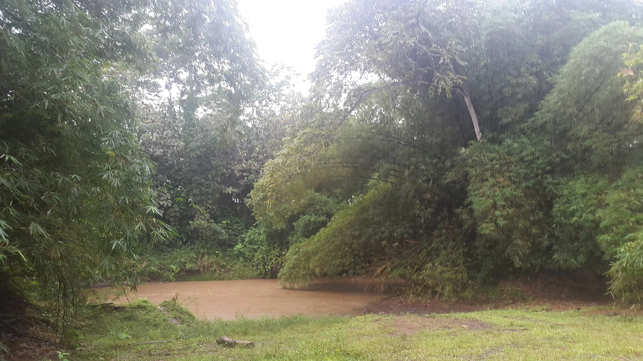 Countryside Development Parcel For Sale in Cariari - Gallery image 19