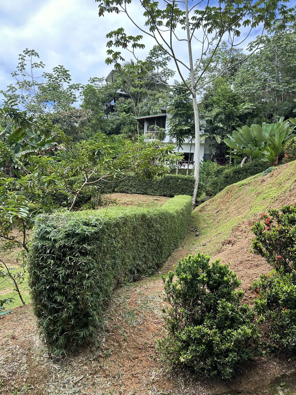 Playa Hermosa: Two Locations to Build, Permits Ready - Gallery image 31