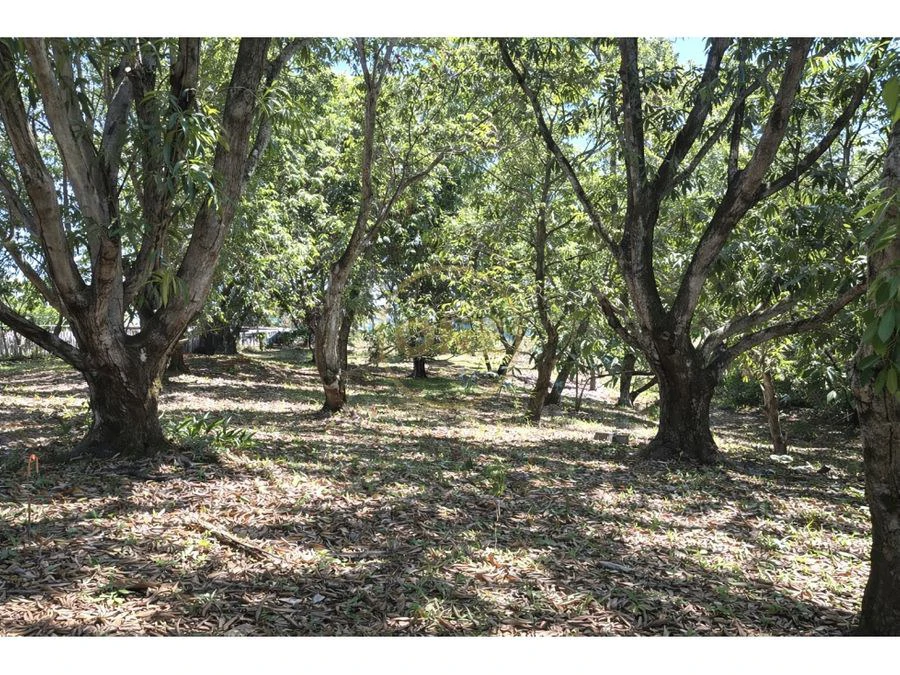 FOR SALE / Land in Coyolar, Orotina, Alajuela