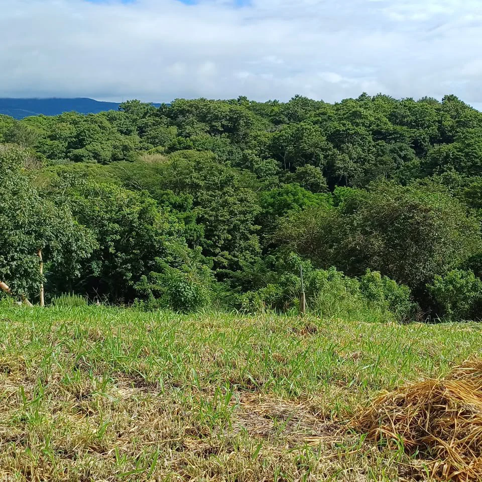 BAY VIEW PARADISE: Large Building Lot, Lake Arenal View - Gallery image 3