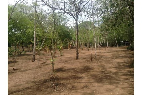 Commercial land in Guanacaste 0.87ha : 900701029-120 - Gallery image 7