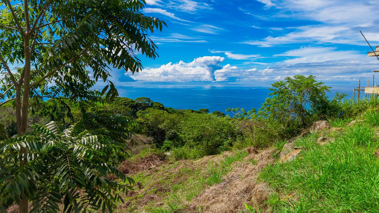 Luxury Ocean View Homesite in Escaleras Playa Dominical - Gallery image 6